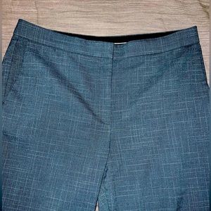 Anne Taylor Curvy pants // Size 14